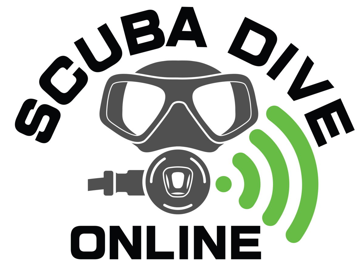 online scuba training