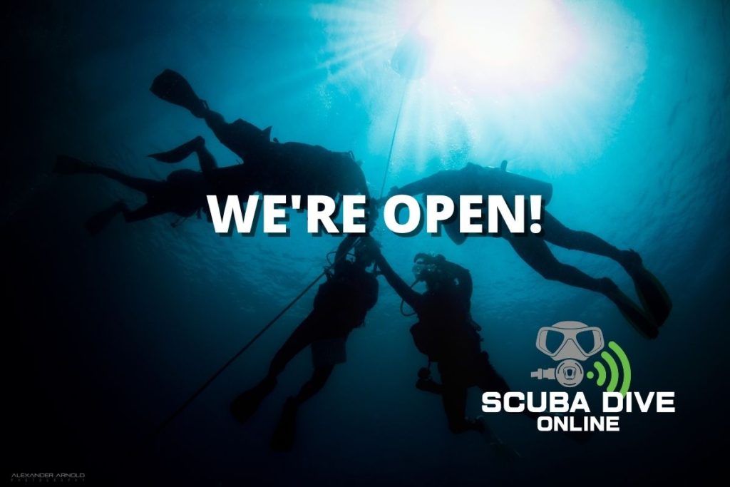 Scuba Dive Online Launch