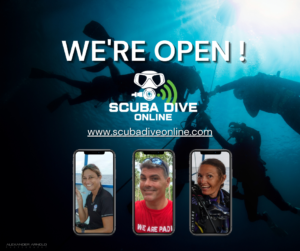 Scuba Dive Online