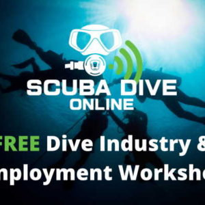 Promotion Free Industry and Employment Workshop
