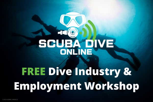 Promotion Free Industry and Employment Workshop