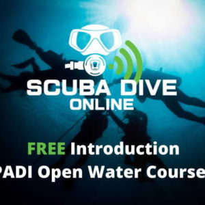 Promotion Free Introduction PADI Open Water