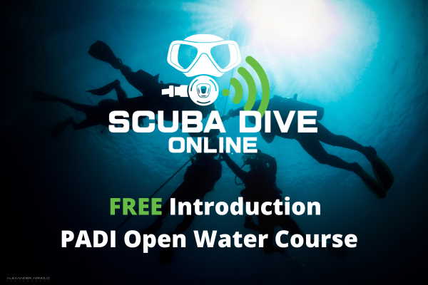 Free Introduction PADI Open Water Course - Scuba Dive Online