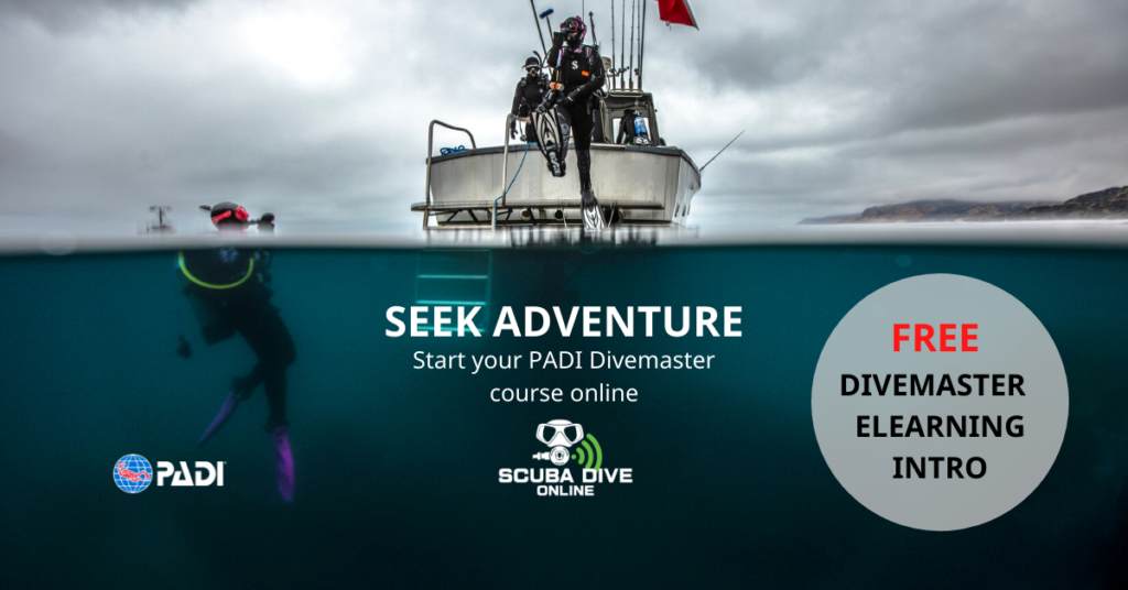 PADI Divemaster course