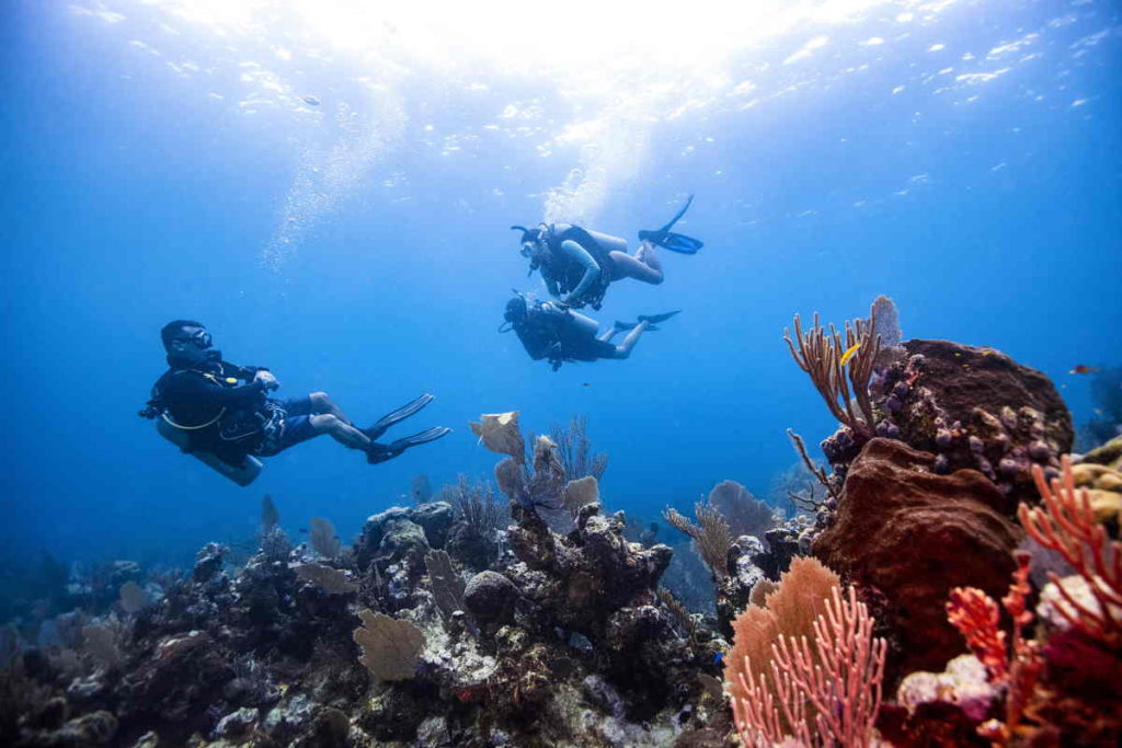 PADI Divemaster guiding divers.