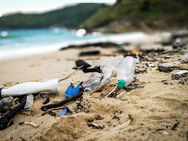 PADI Torchbearer. Plastic on the beach