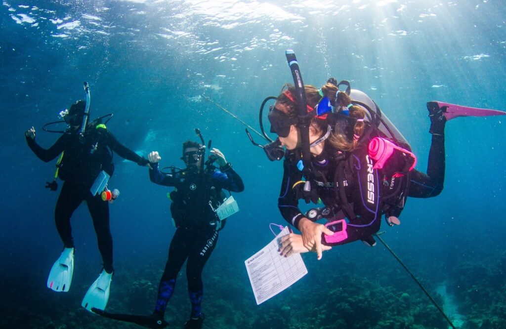 PADI IDC Roatan. Scuba Dive Online.