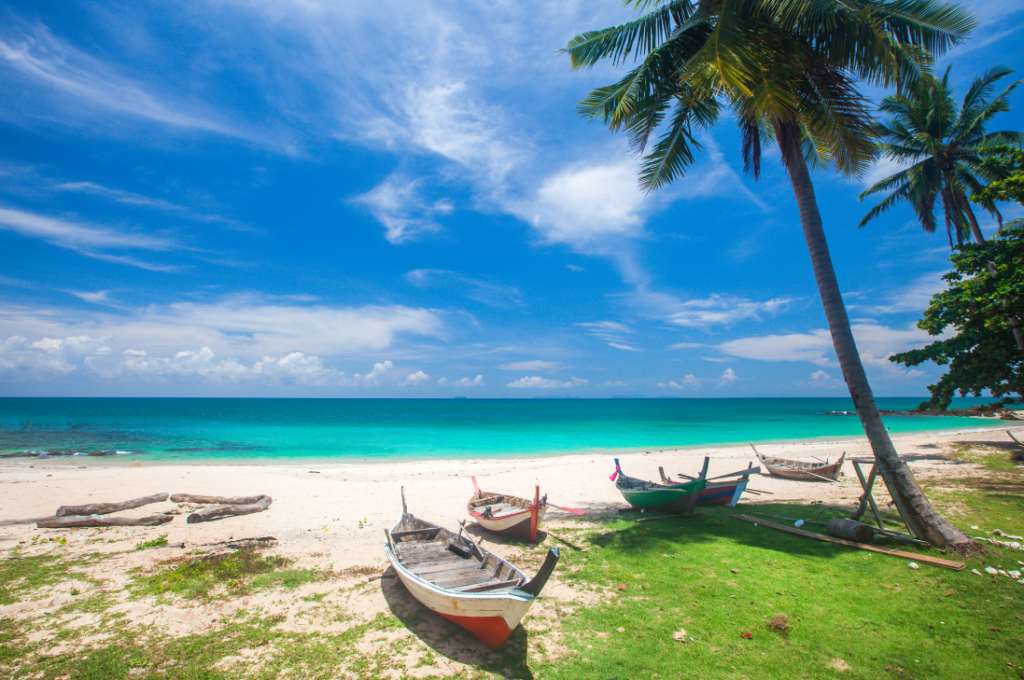 PADI IDC in Koh Lanta with Scuba Dive Online. Online learning.