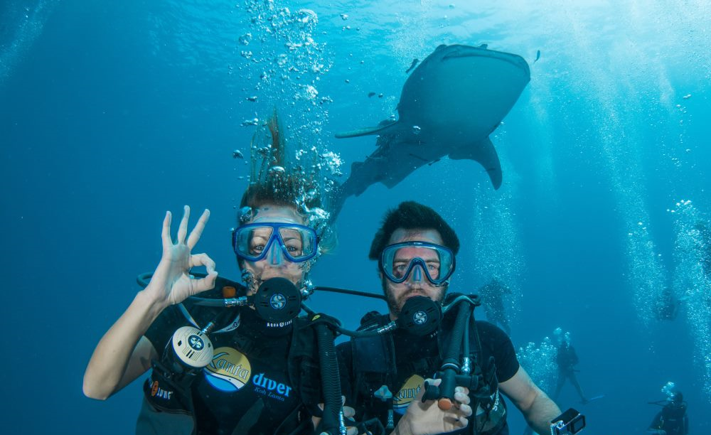 PADI IDC in Koh Lanta with Scuba Dive Online. Online learning.