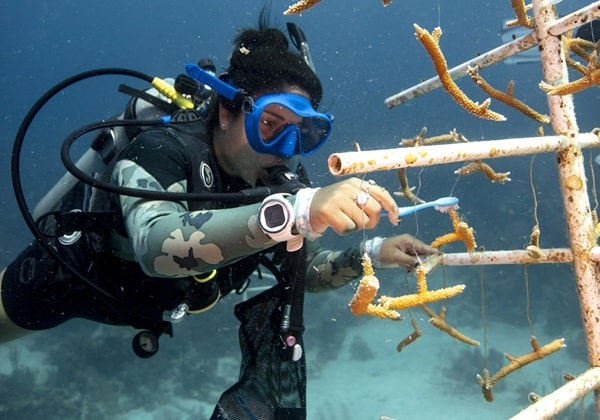 PADI AWARE. World Ocean Day with Scuba Dive Online.