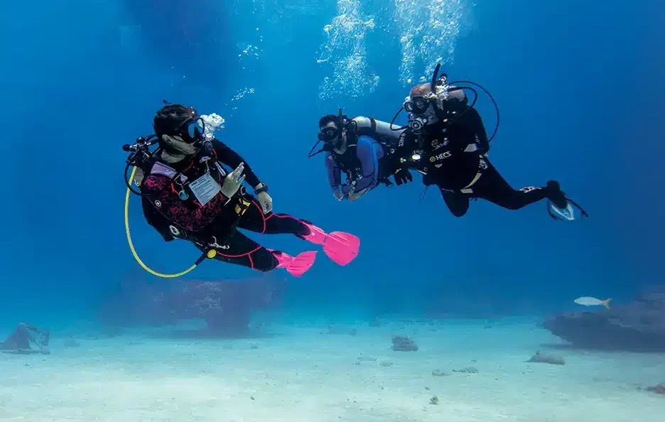 PADI DIvemaster up to instructor. Scuba Dive online.