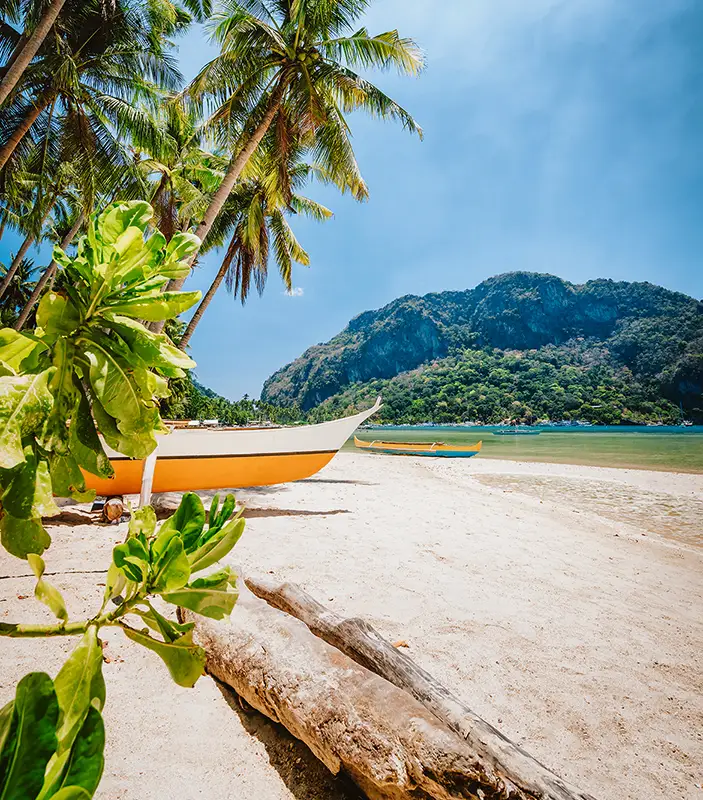 Tropical beach with traditional boat and lush mountains near Dauin PADI IDC center