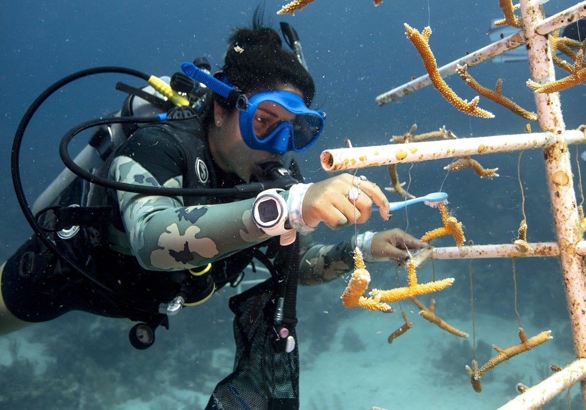 PADI AWARE. World Ocean Day with Scuba Dive Online.