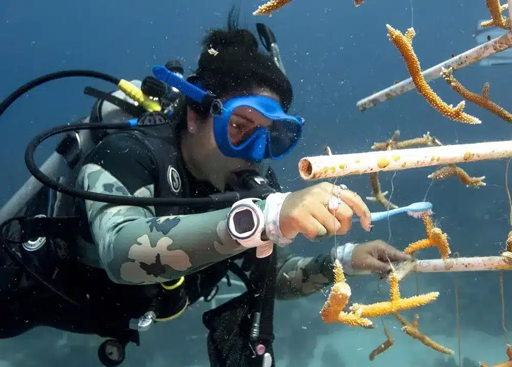 PADI AWARE. World Ocean Day with Scuba Dive Online.