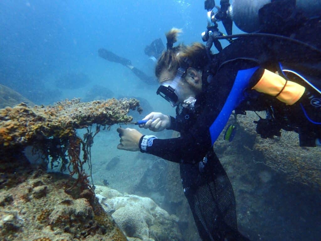 PADI AWARE week 2025. Davy Jones Locker and Scuba Dive Online