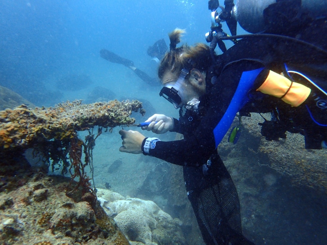 PADI AWARE week 2025. Davy Jones Locker and Scuba Dive Online