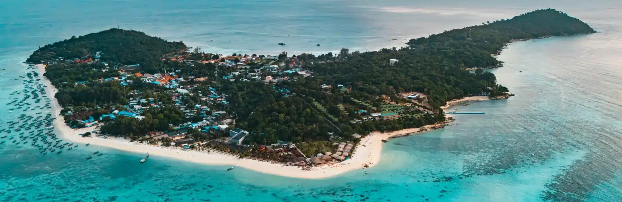 PADI IDC with Scuba Dive Online on Koh Lipe. Soft corals.