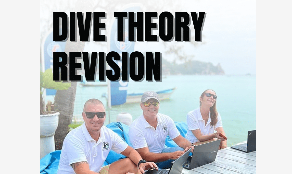 PADI IDC study materials. Dive Theory Revision eBook.