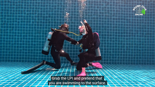 PADI IDC study support. Divemaster skills circuit.