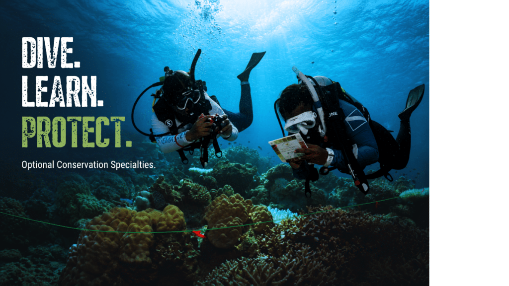 Komodo dive trip and conservation