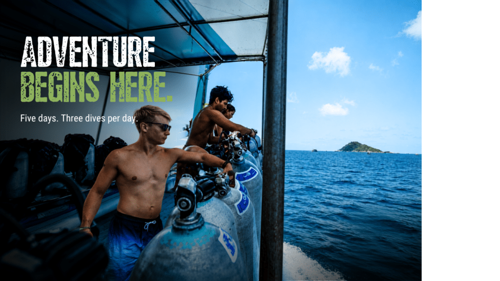Komodo Dive Trip with Scuba Dive Online Adventures