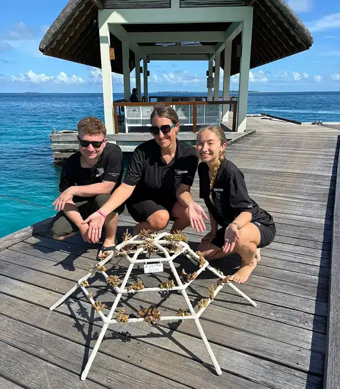 Coral conservation project in the Maldives
