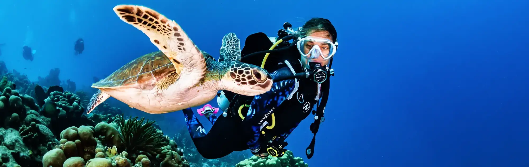 PADI IDC in Phuket